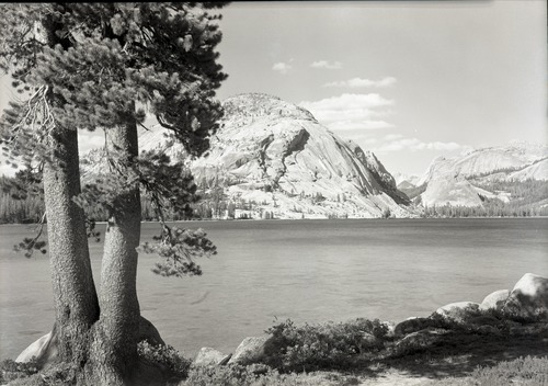 Lake with Lodgepole pine on left.