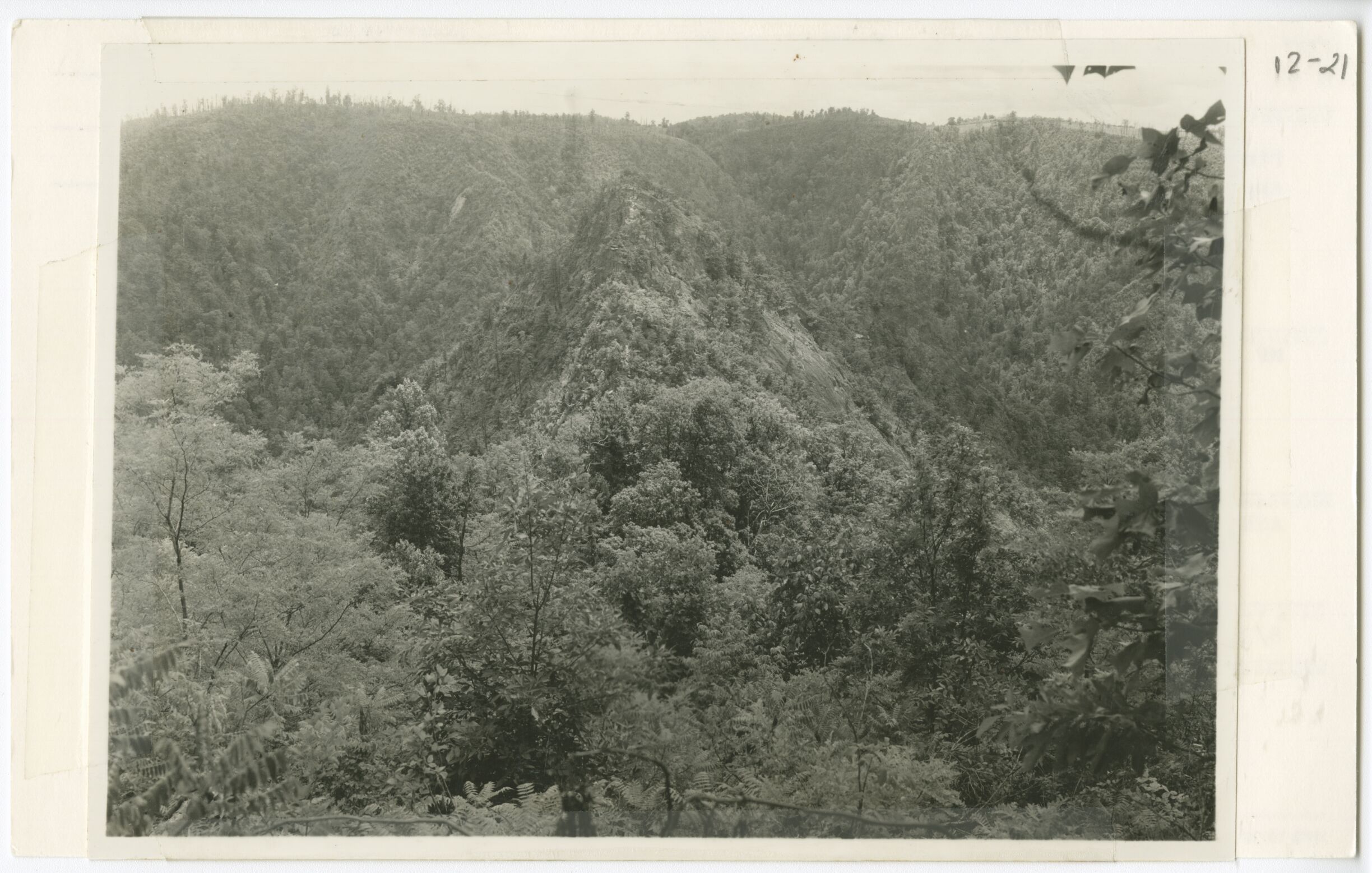 Pinnacles of Dan just off Appalachian Trail