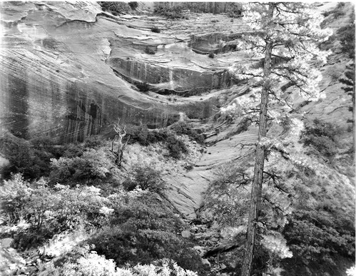 BW Photos of the Temple of Sinawava.