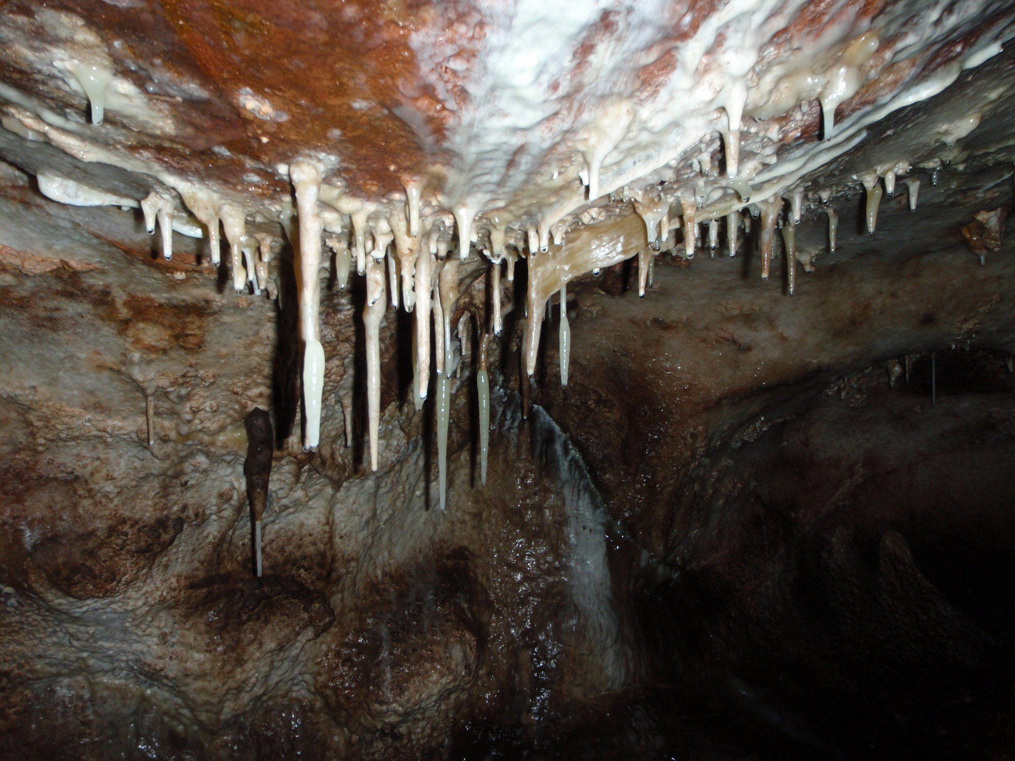 Stalactites hanging from ceiling 