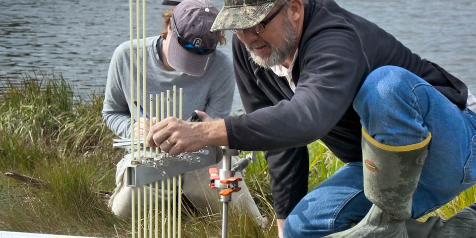 Jim Lynch measures elevation changes in a salt marsh.
