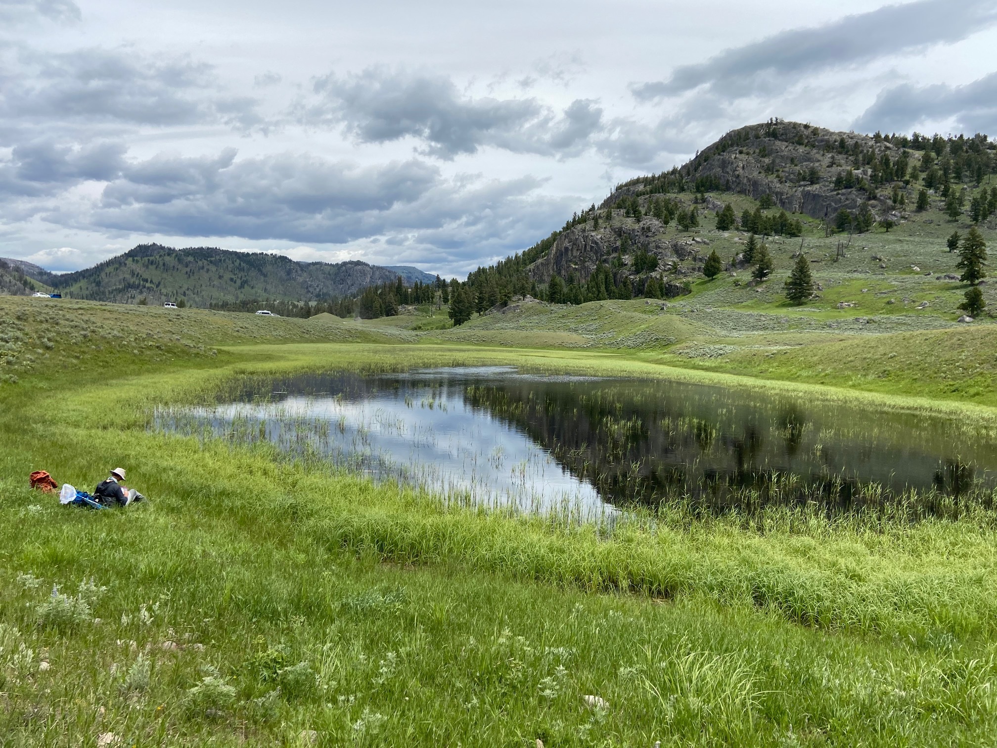 Person sits next to a small wetland pond under green mountains and grey sky