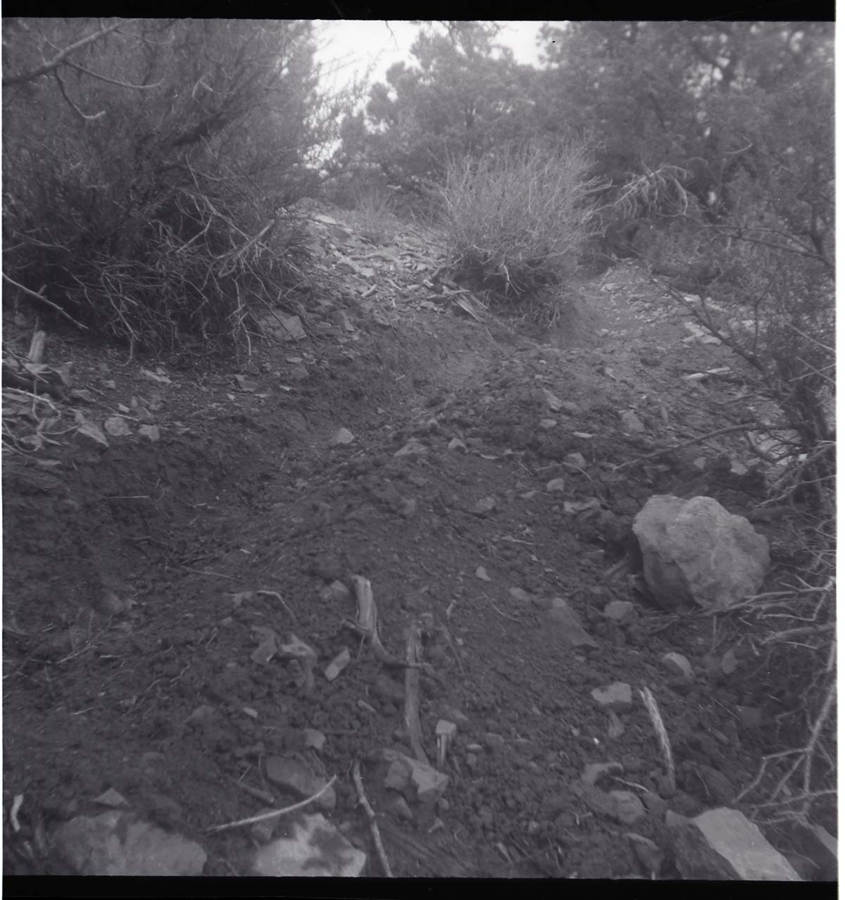 BW photos of rock slides in Kolob Canyons - 2x2.