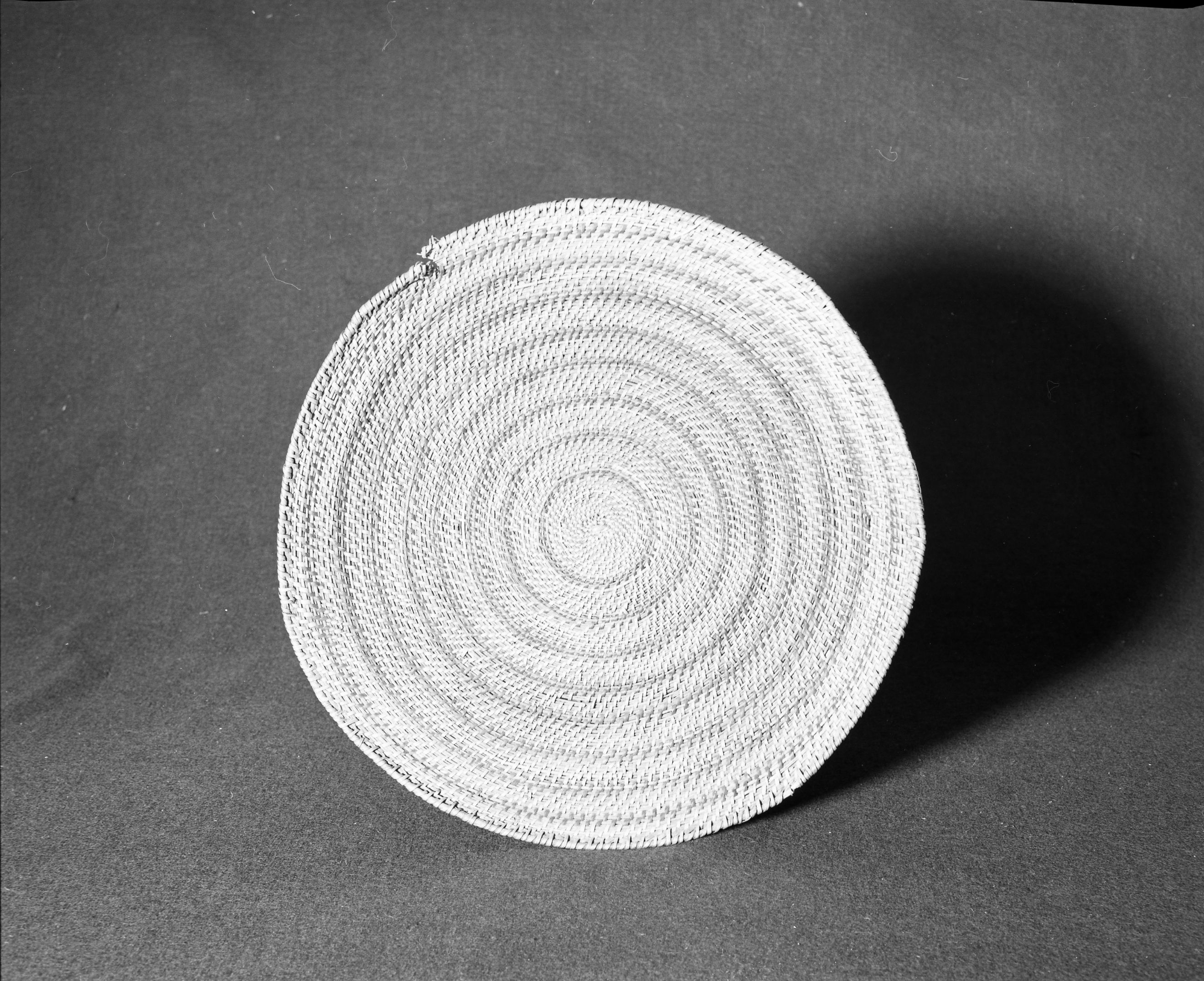 Marie Rozier Collection, Catalog No. 26. Object: Miwok sifting tray. Dimensions: 15" diameter. Materials: grass bundle, split redbud, split shoots (maple?). Technology: leftward coil direction; interlocking stitch; fag ends trimmed on workface; moving ends trimmed on back face. Single rod sewn to edge of basket on top of original finish. Collection History: Given to Marie Rozier by A. Teague. Made and purchased in Tuolumne from Evalena Cox about 1910. Photographed by Michael Dixon in December 1982. Catalogued by Craig Bates and Barbara Beroza. Yosemite Collections, National Park Service.