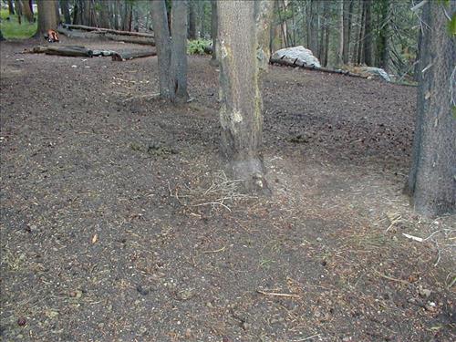Camp used by Cottonwood Pack Station at Lower Rock Creek Crossing, Sequoia and Kings Canyon National Park