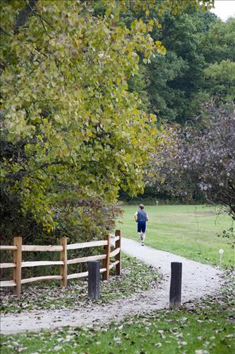 Fall Fun Run runners