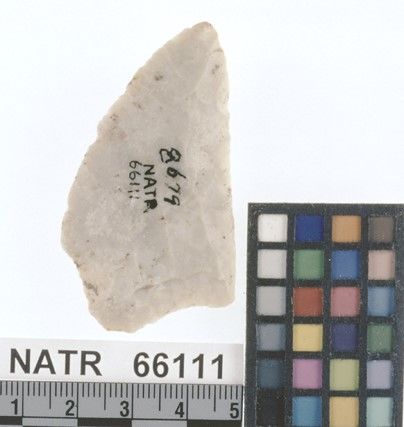 NATR   66111 -- Untyped projectile point
