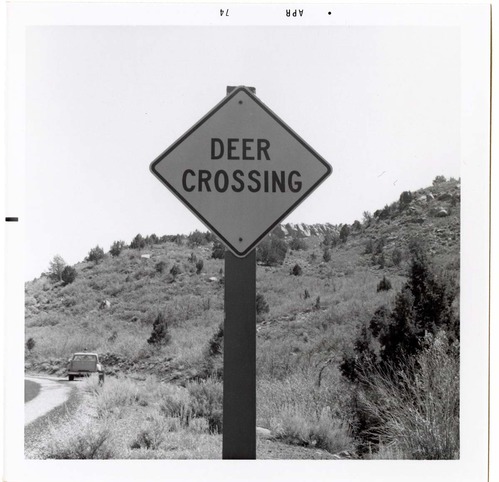 Road sign reading 'Deer Crossing' in Kolob Canyon.