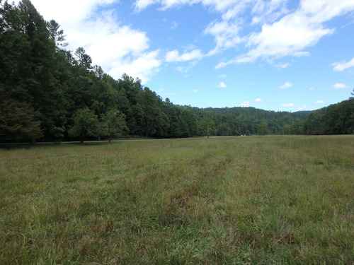 GRSM Accuracy Assessment. Plot Code: GRSM_AA_0093_6