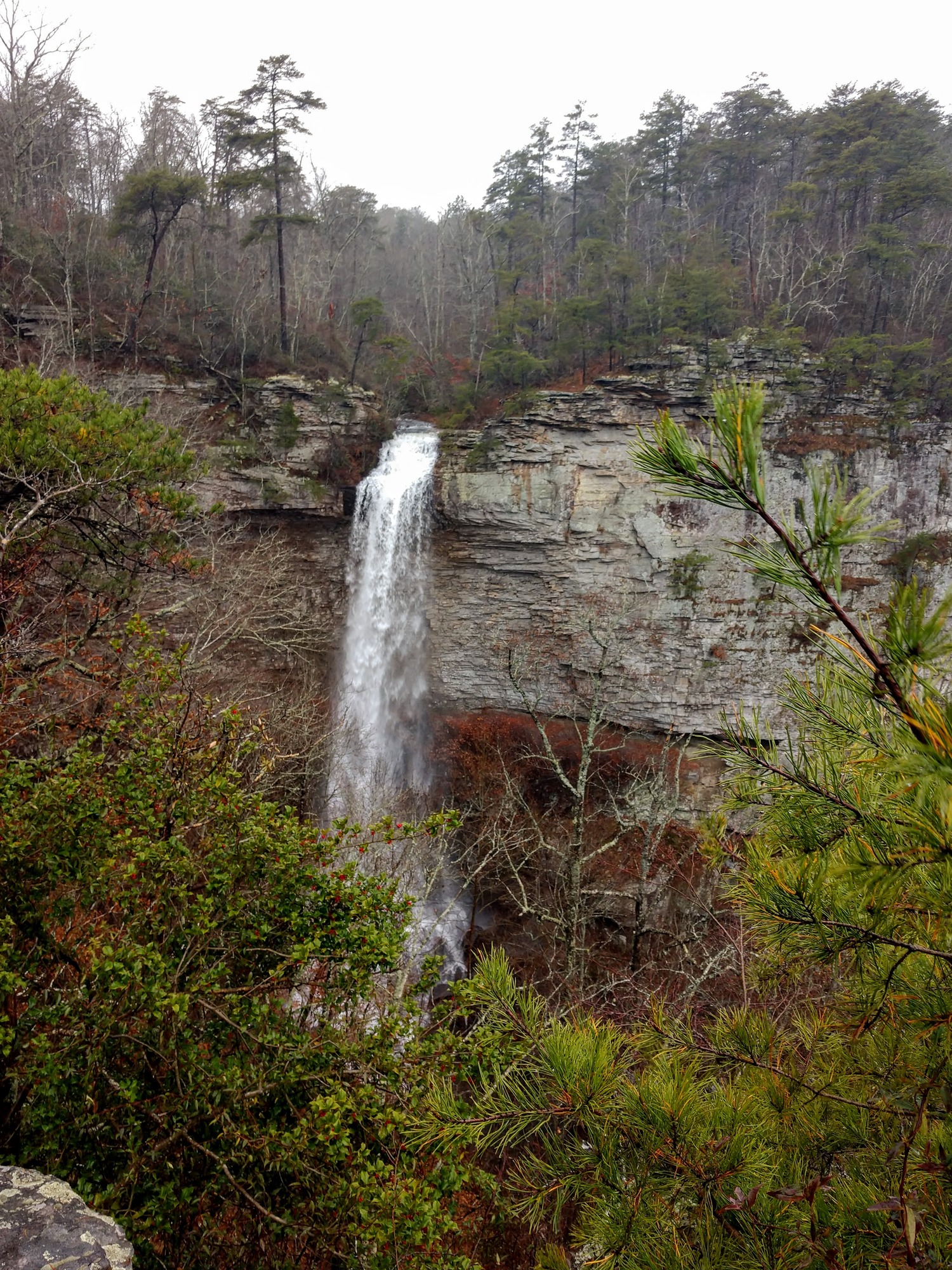 At 133 ft / 40.5 m high, Graces High Falls is the tallest waterfall in Alabama. This seasonal waterfall, best seen from late fall to early spring, can be viewed from an overlook on the Little River Canyon Rim Parkway (Alabama Highway 176).