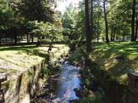 A creek flows through the Park. On either bank are trees and fields of grass.