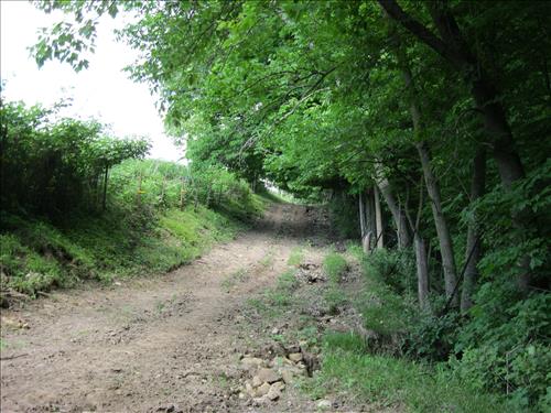 Boundary Fence Pictures 2015