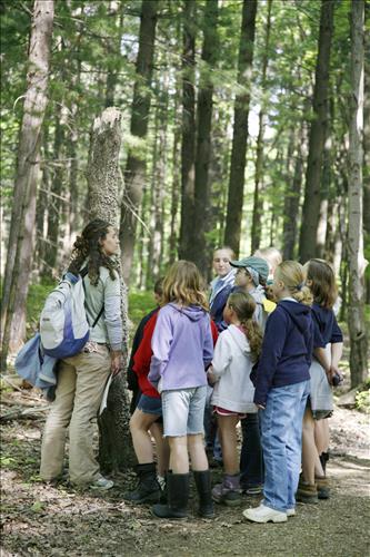 CVEEC Girl Scouts forest exploration