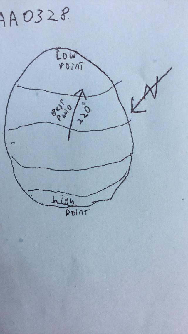 GRSM Accuracy Assessment. Plot Code: GRSM_AA_0328_map