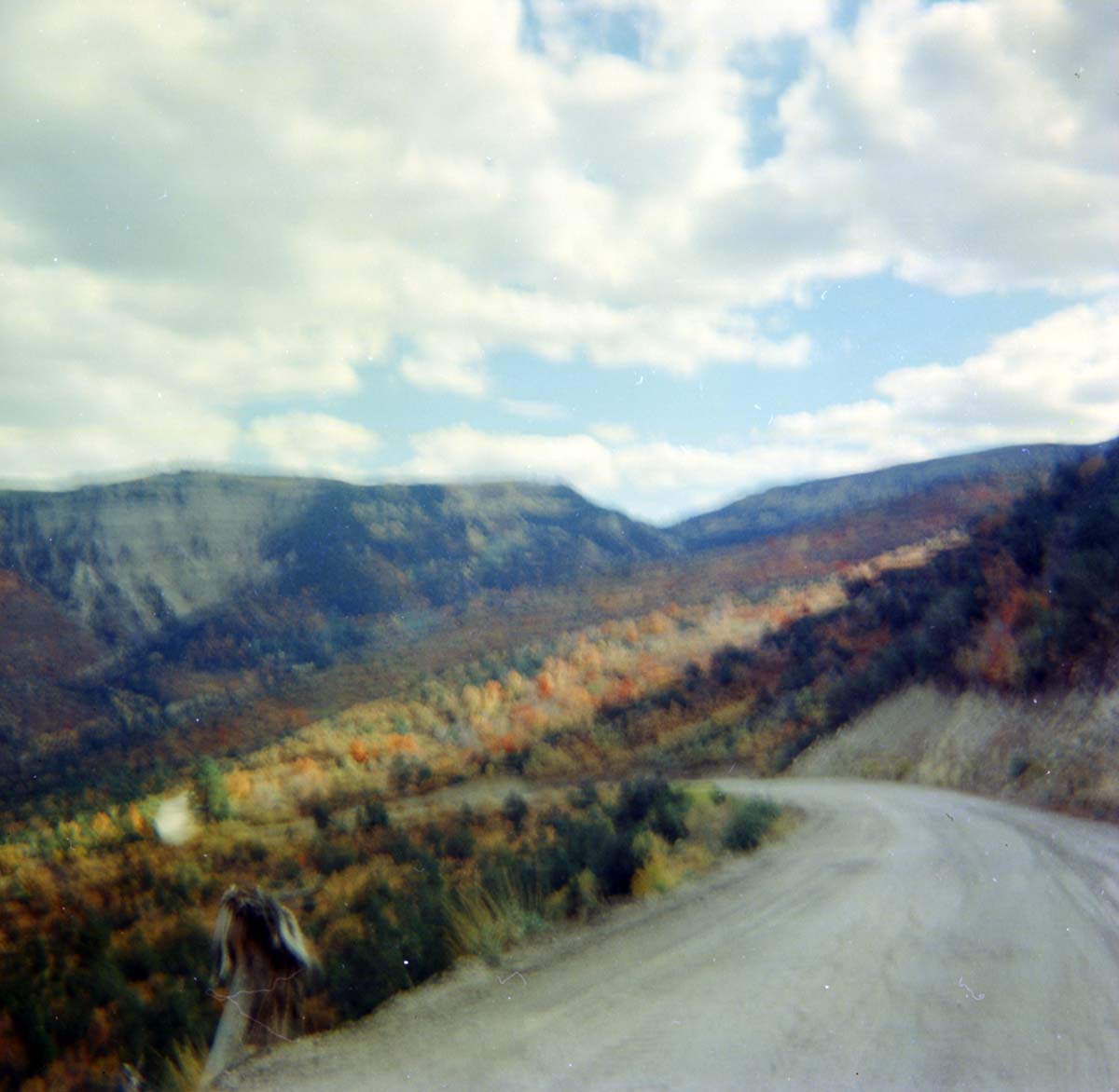 Color photos of scenic views of, or near, Cedar Breaks.