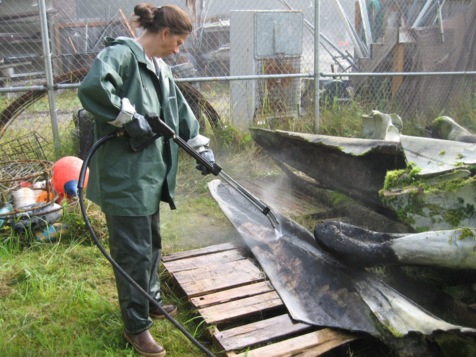 Pressure Washing the Skull