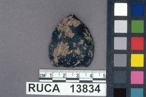 RUCA   13834 -- Point, Projectile