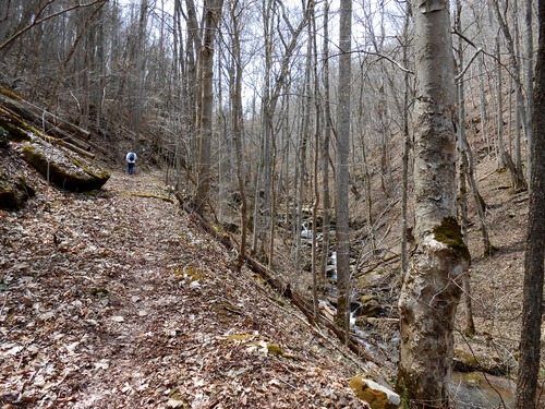 hiker walking along a trail through forest alongside a cascading stream