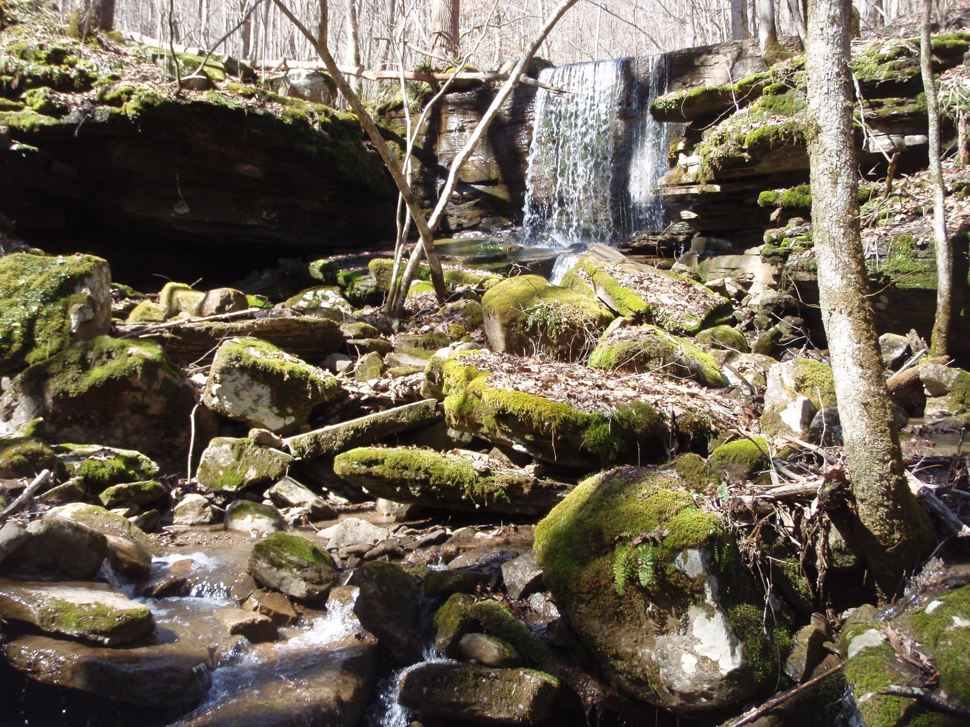 Site visit photo showing the upstream (UP) or downstream (DN) view of a wadeable stream reach taken during benthic macroinvertebrate monitoring at New River Gorge National Park and Preserve.