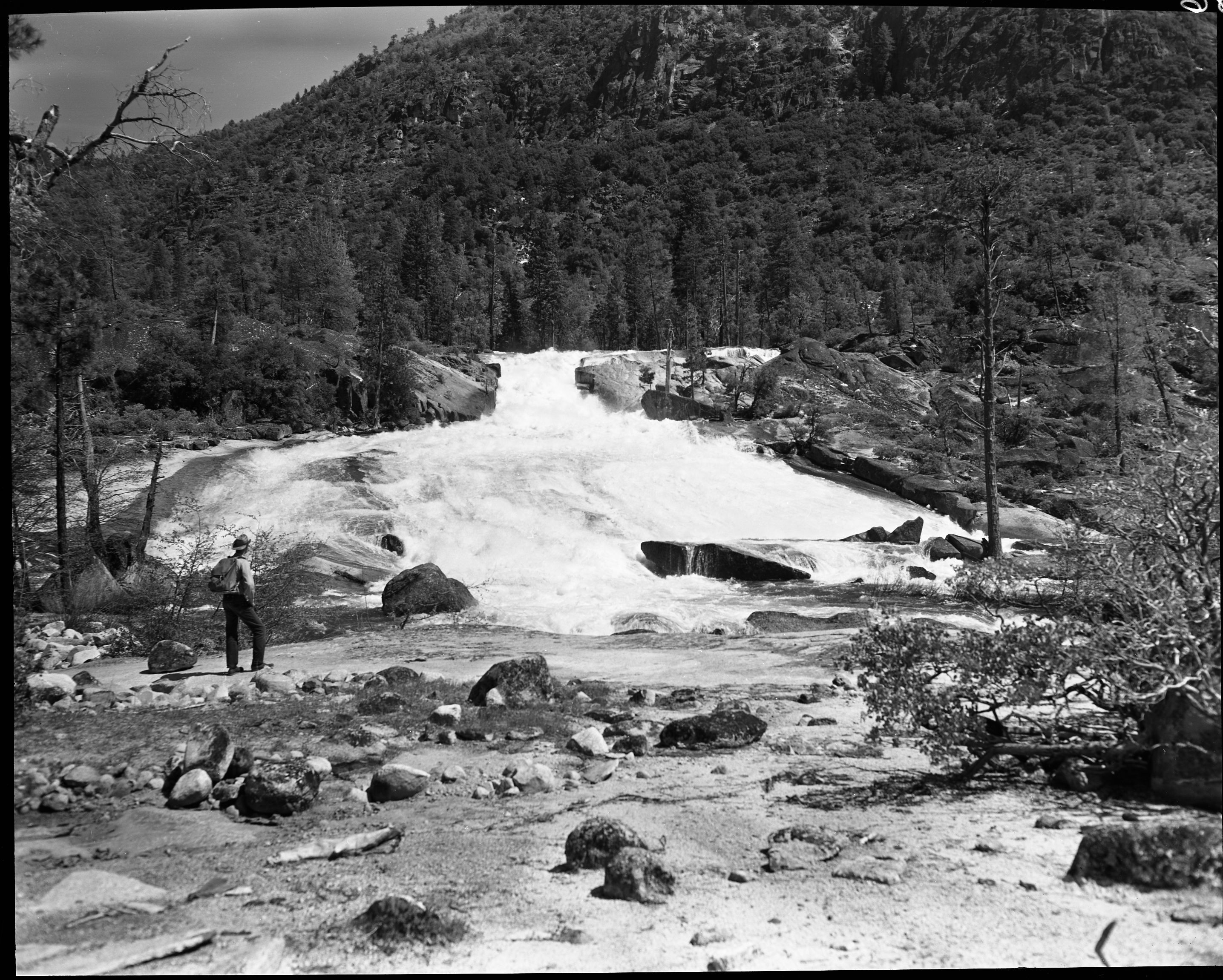 Cascades on Rancheria Creek - Hetch Hetchy area.