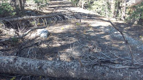 Rehabilitate SF Baker Creek and North Fork Big Wash Trail Systems