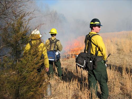 Prescribed burning at Buffalo National River