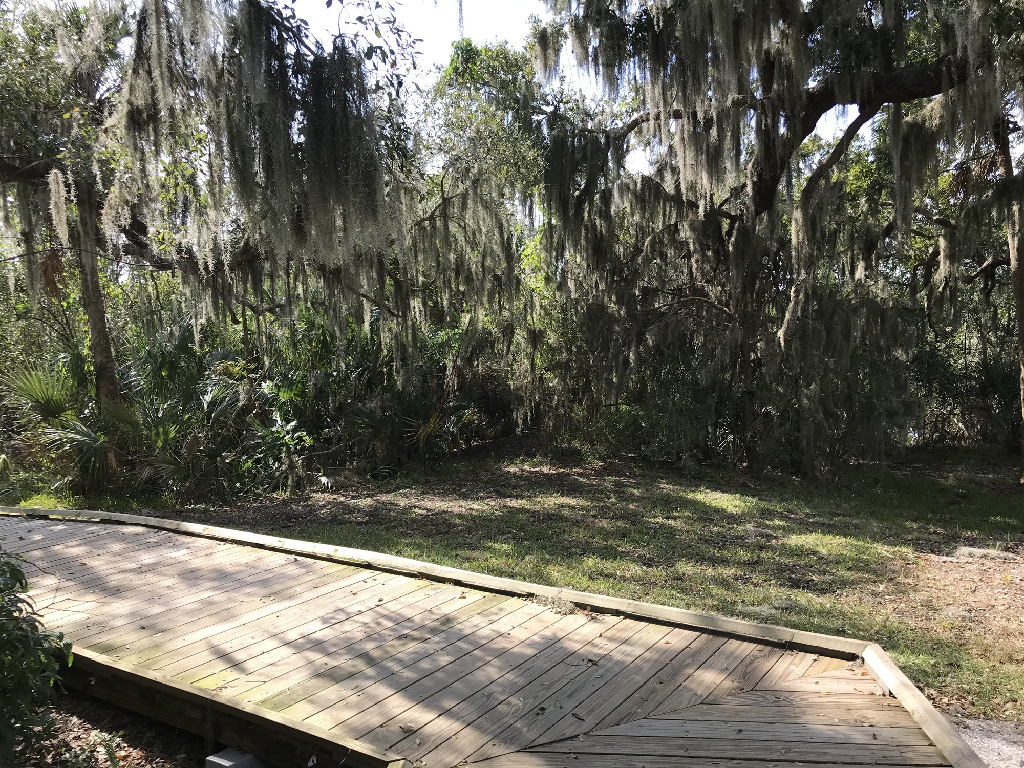 The Seminole Rest path curves around the mound. This part of the path is wooden.