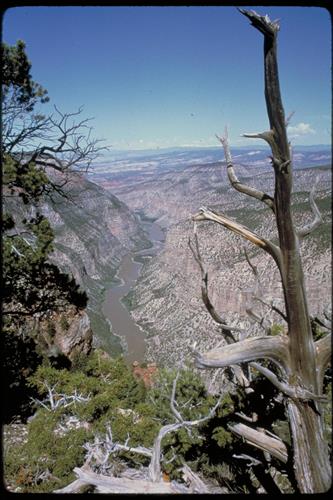 Rivers and canyon scenes at Dinosaur National Monument, Colorado and Utah