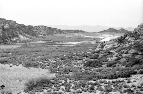 BW photo of the 1937 grazing study 35MM. Photo of Lee Valley.