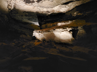 A large rock feature that looks like a coffin. 