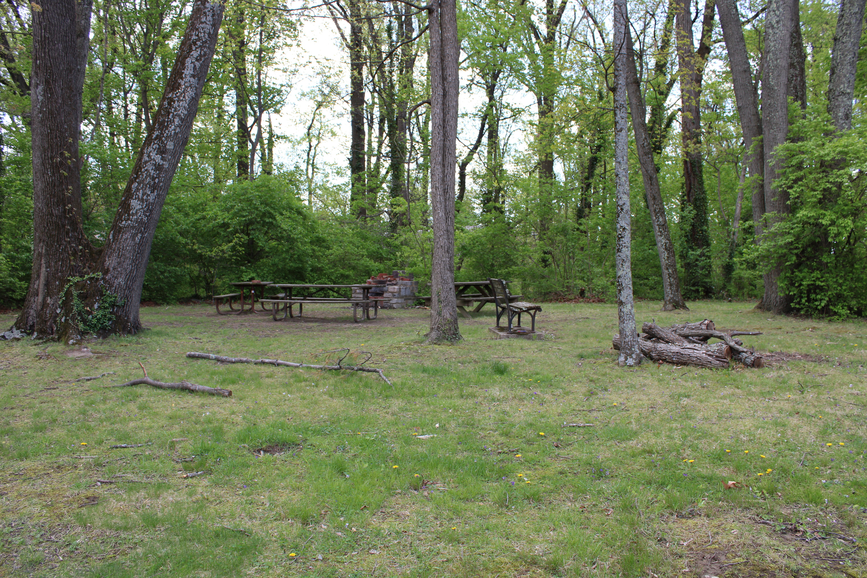 a grassy area backs up to a wooded area with a few picnic tables and a stone firepit for grilling