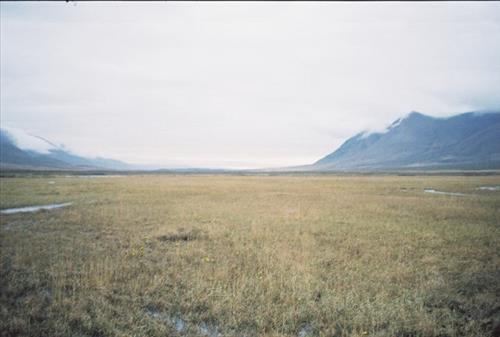 4 Gates of the Arctic National Park and Preserve Itkillik Bird Survey June 2006