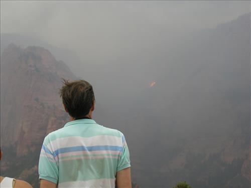 Timber Top Mountain Fire photos, Zion National Park, July 2003