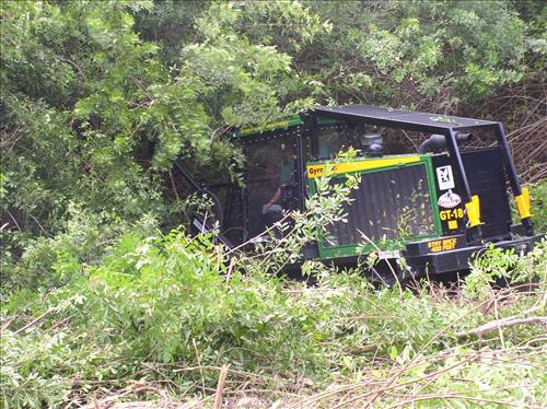Gyro Trac used for fuels reduction at Big Cypress National Preserve