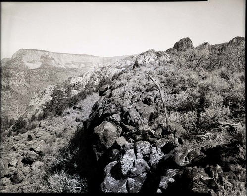 Lameraux property, land appraisal for proposed purchase, T 39 N, R 11 W, at road location to head of Hop Valley.