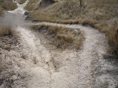 BADL - Notch Trail - 2010