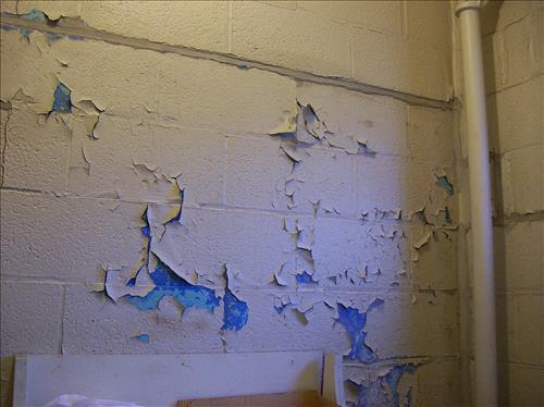 FODU-Damaged Paint at Fort Dupont Maintenance Facility, January 5, 2009