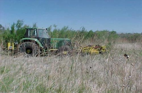Salt Cedar Eradication Program Succeeding at Lake Meredith National Recreation Area, Texas