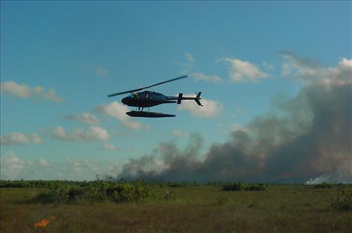 Helicopter use on prescribed burn, Everglades NP in May, 2003