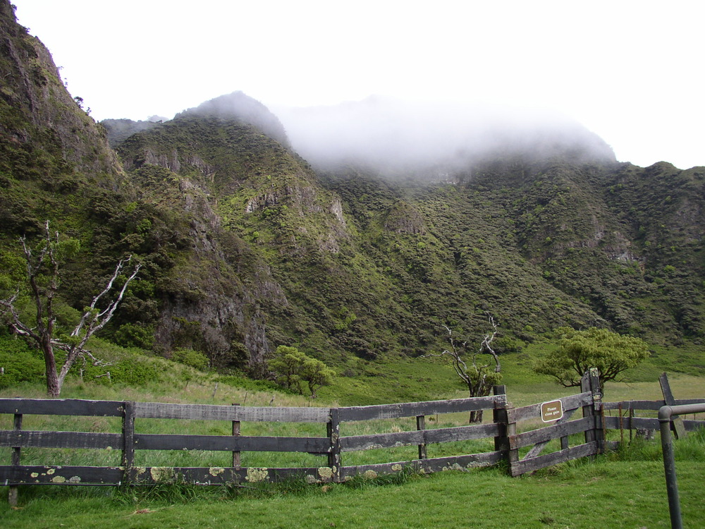 View of Paliku Cliffs
