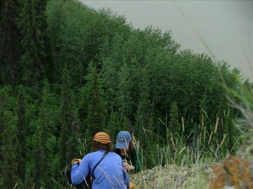 11 Yukon-Charley Rivers National Preserve Peregrine Falcon Survey July 2006