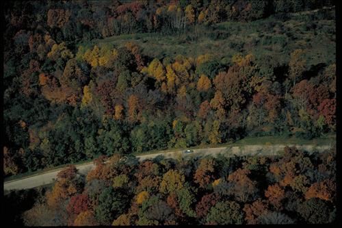 Colonial Parkway at Colonial National Historical Park, Virginia