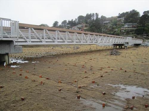 Implement Phase Four of Redwood Creek Restoration at Muir Beach (Big Lagoon Project)