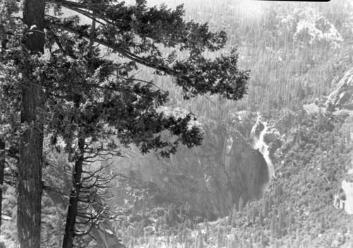 Telephoto view from Cascade Fall from Wawona Rd. for use as lantern slide show showing Douglas Fir.