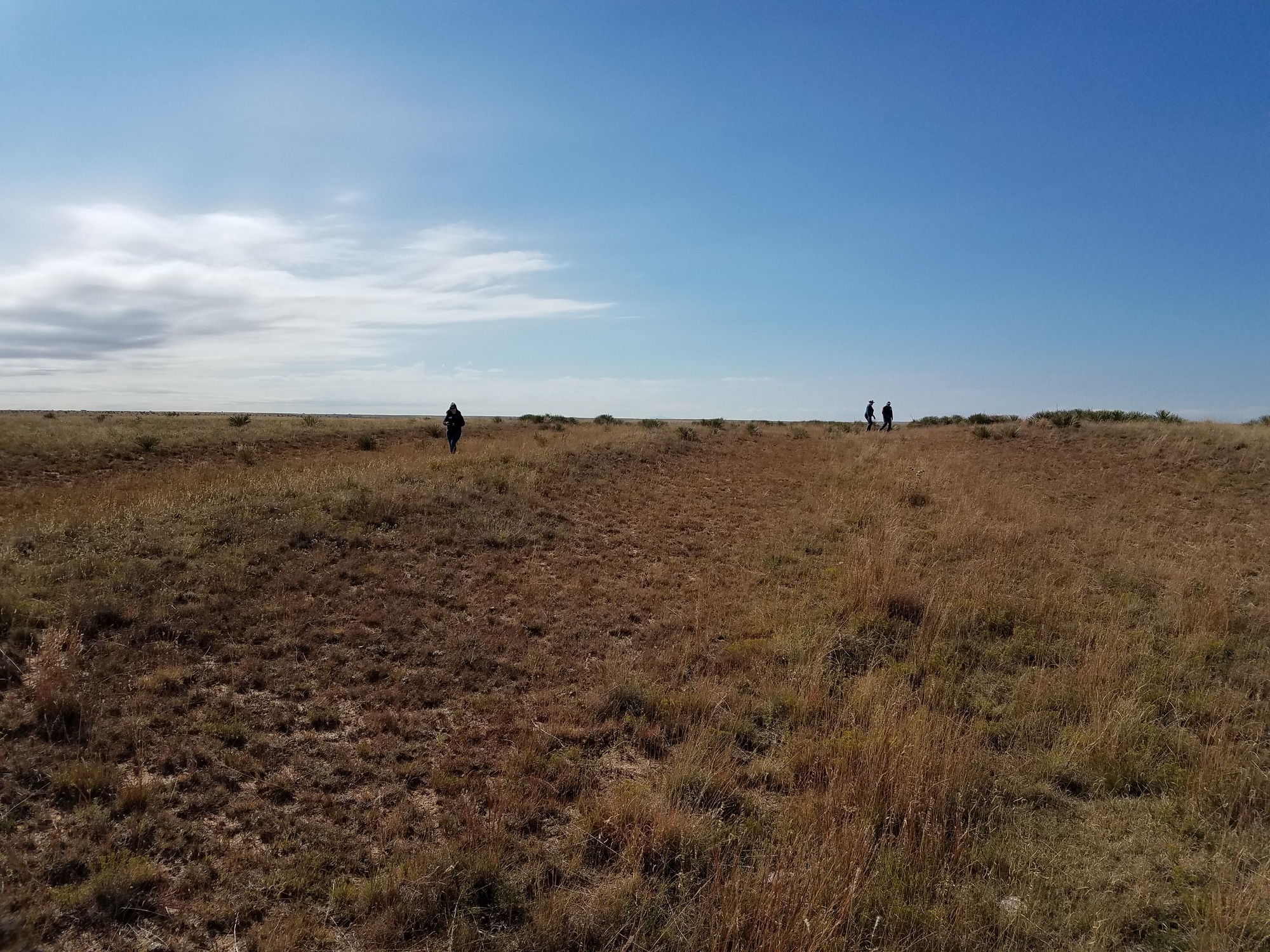 A group of people walking across a dry field under a blue sky.