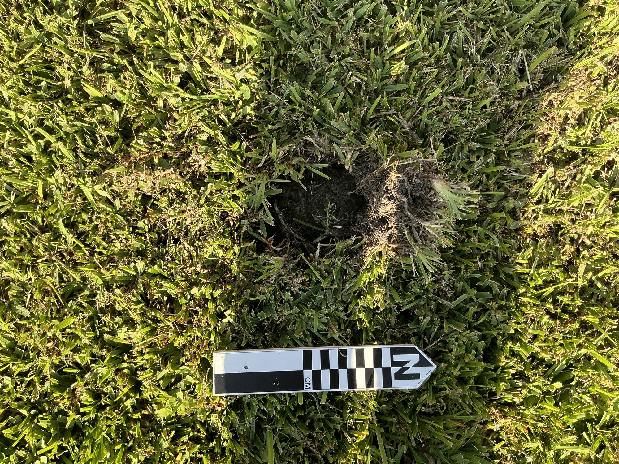 Extra image of flat marble marker