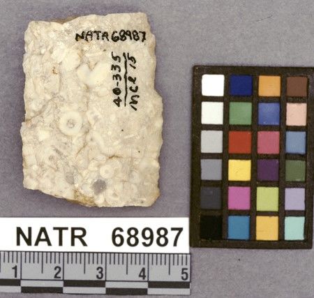 NATR   68987 -- Untyped projectile point