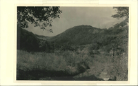 View of the Bluffs from Basin Creek Valley near Alligator Back