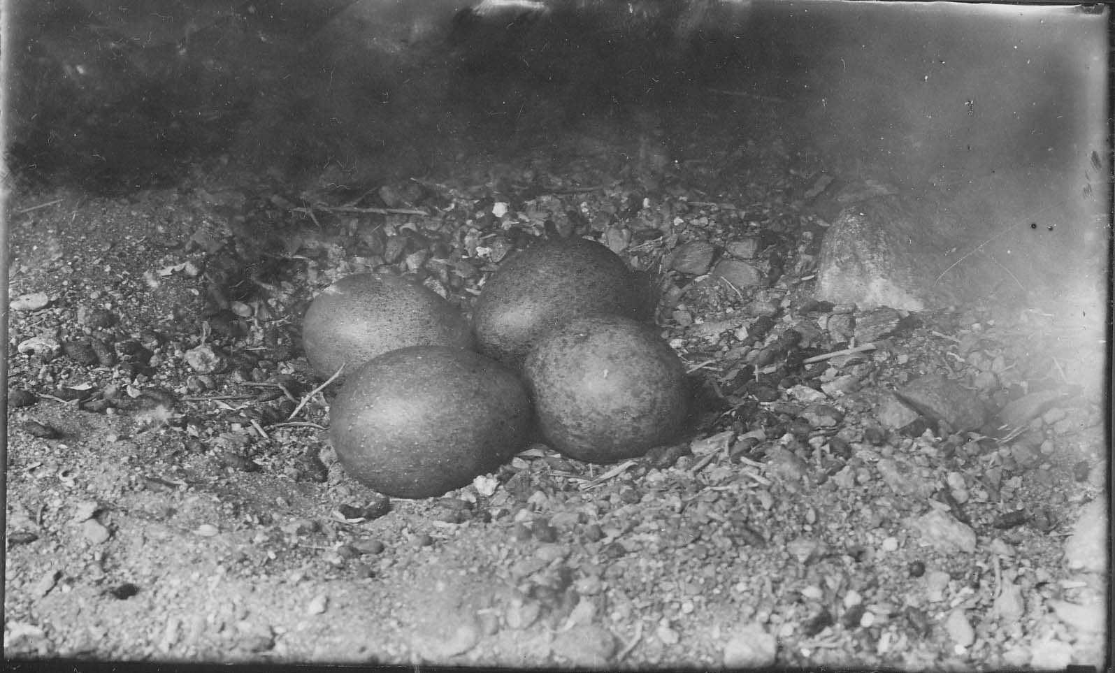 San Emidio Creek, Kern County, California