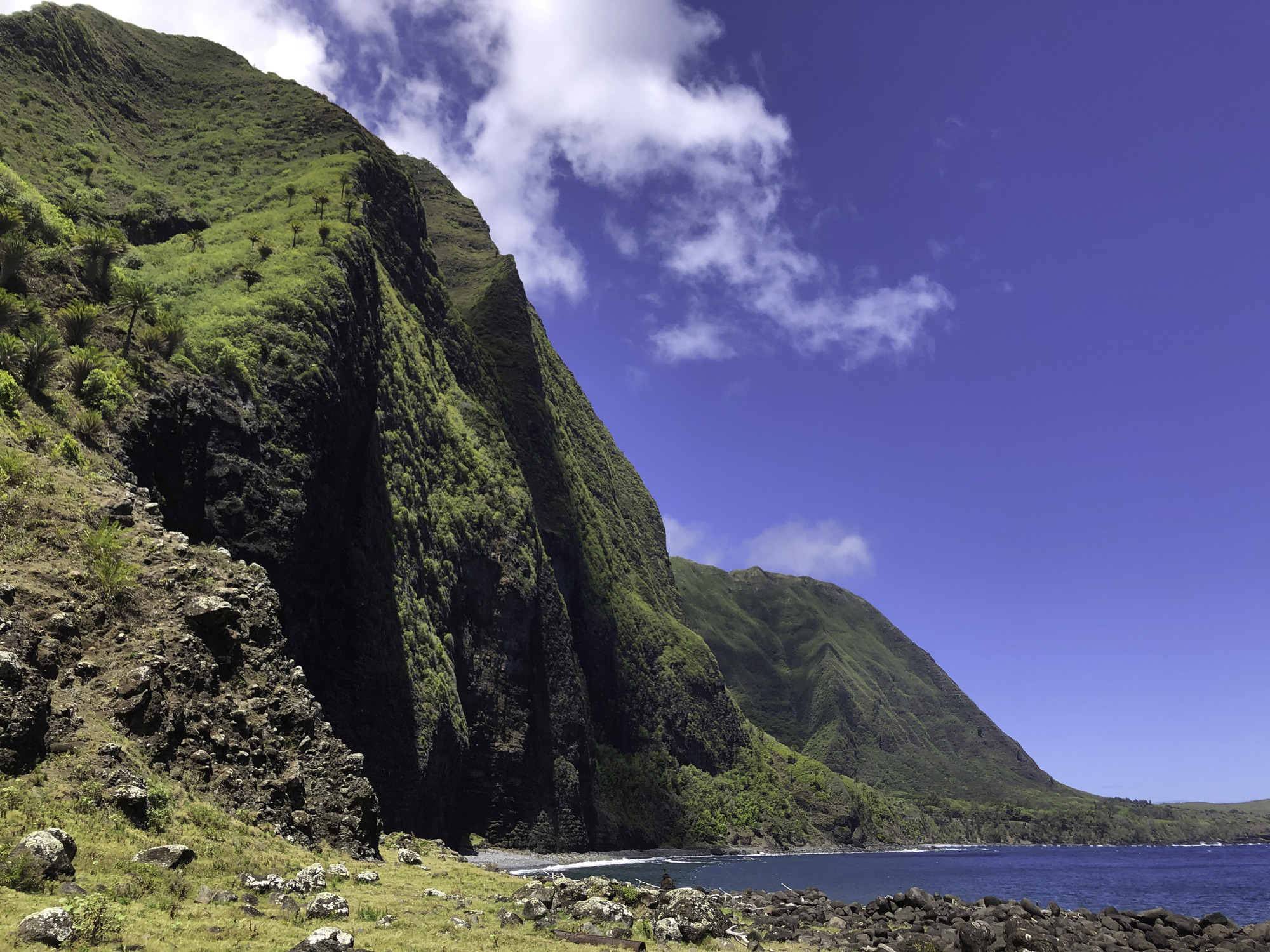 The ocean and a tall sea cliff.
